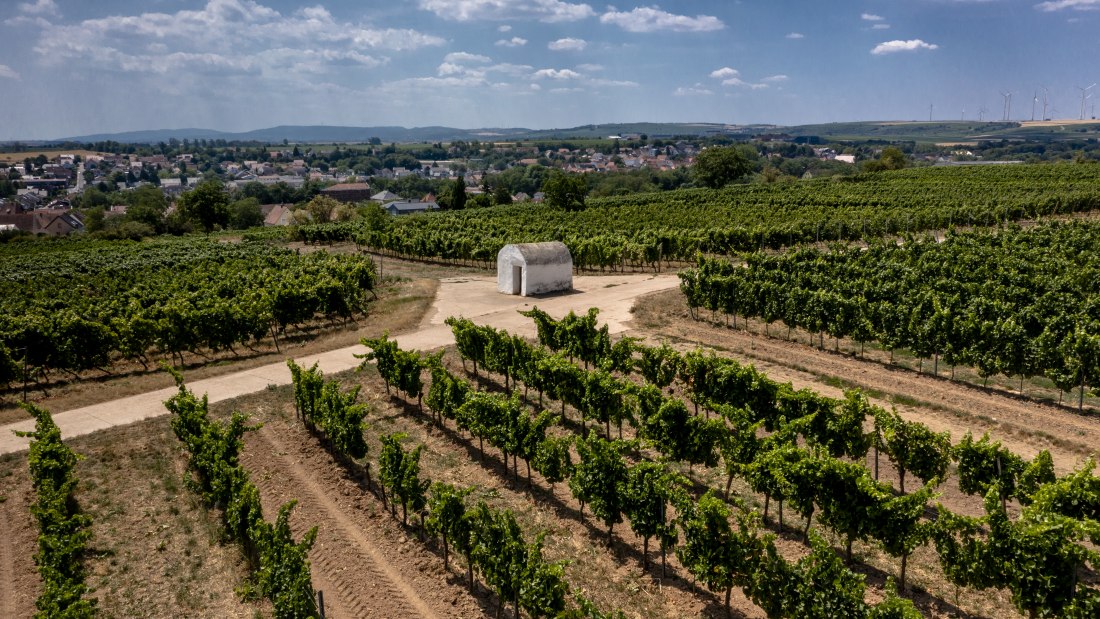 Monsheimer Rosengarten