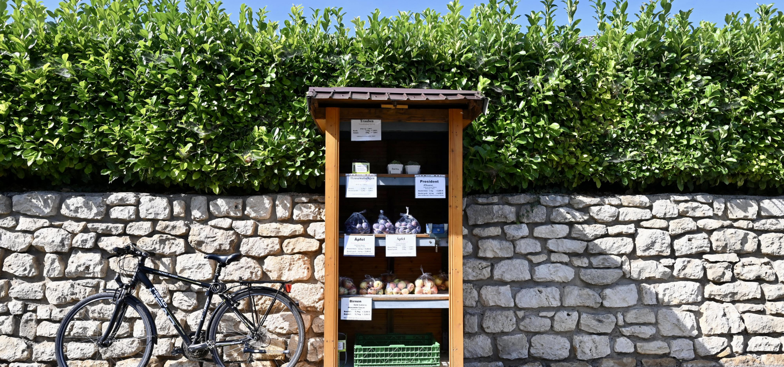 SB-Stand Obst