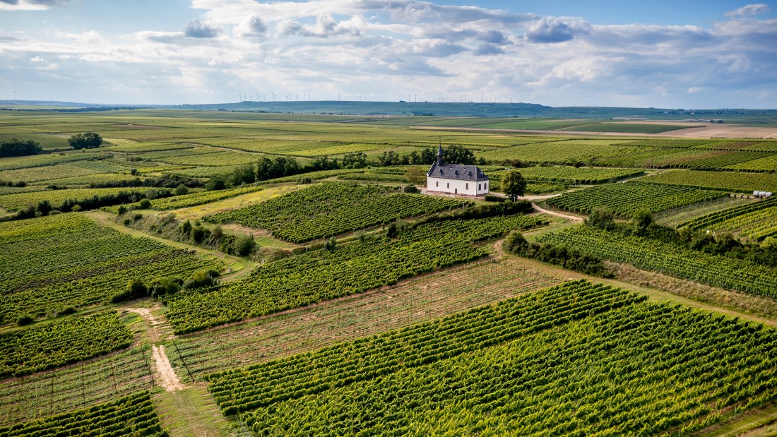 Abenheimer Klausenberg, © Torsten Silz
