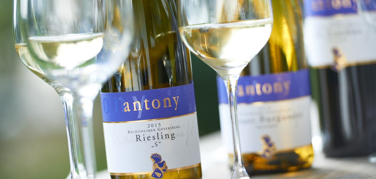 &copy; Weingut Antony