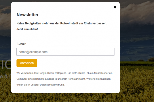 Leichte Sprache -Newsletter Pop-Up-Fenster