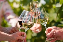 Weingut Schmitt_Ansto&szlig;en, &copy; Weingut Schmitt