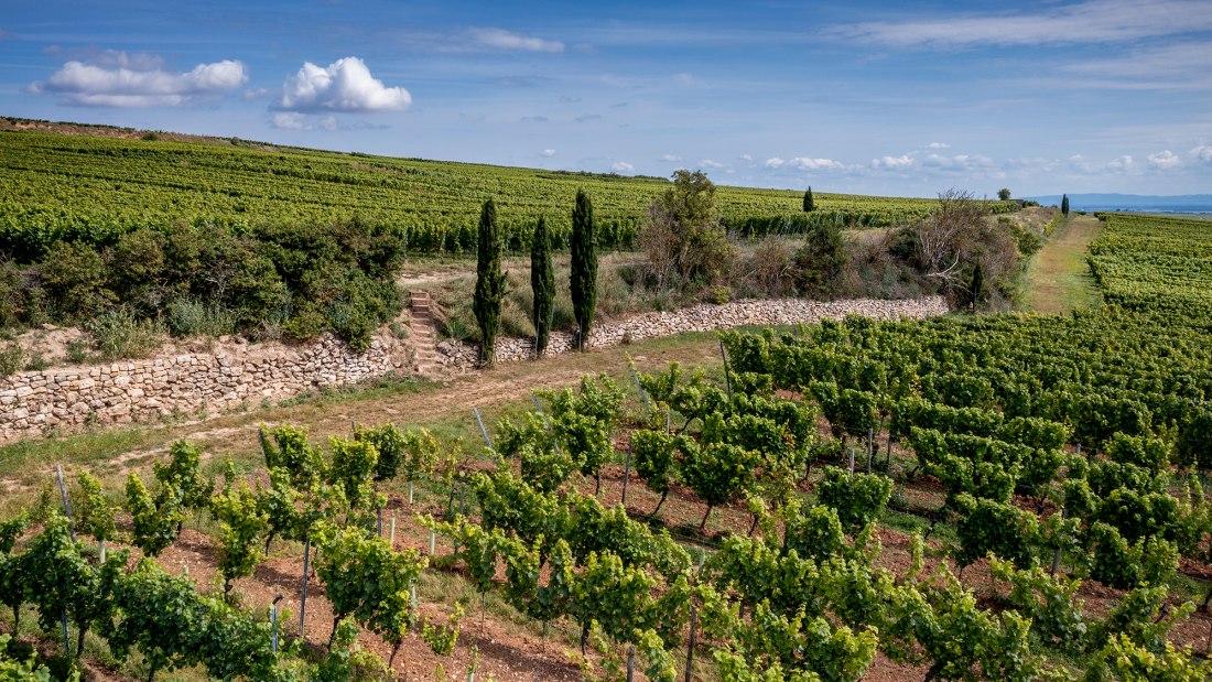 Westhofener Brunnenhäuschen