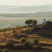 Flonheimer Trullo &copy; Peter Bender