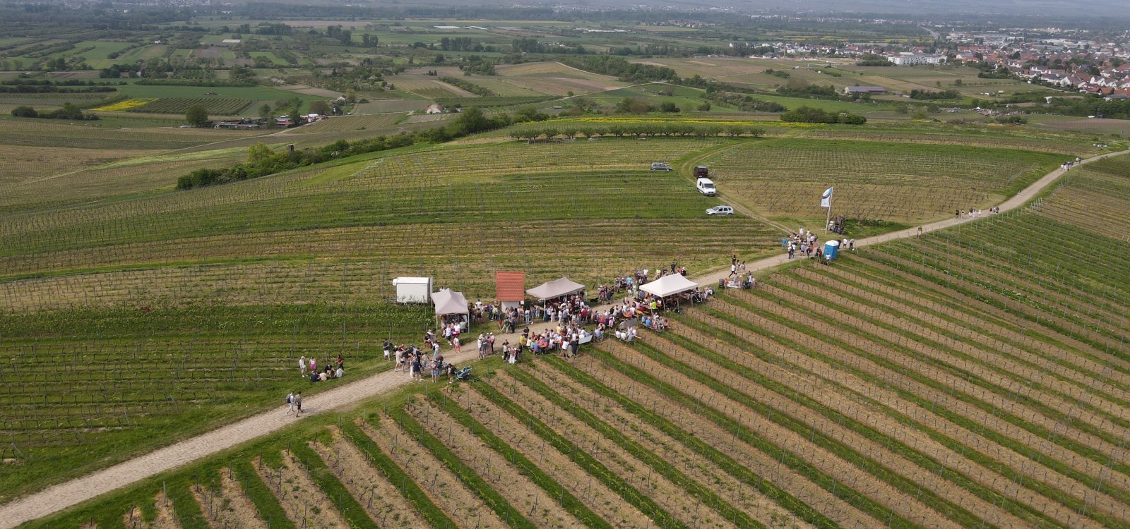 Gau-Algesheimer Weinlagenwanderung, &copy; VG Gau-Algesheim_Armin Kleisinger