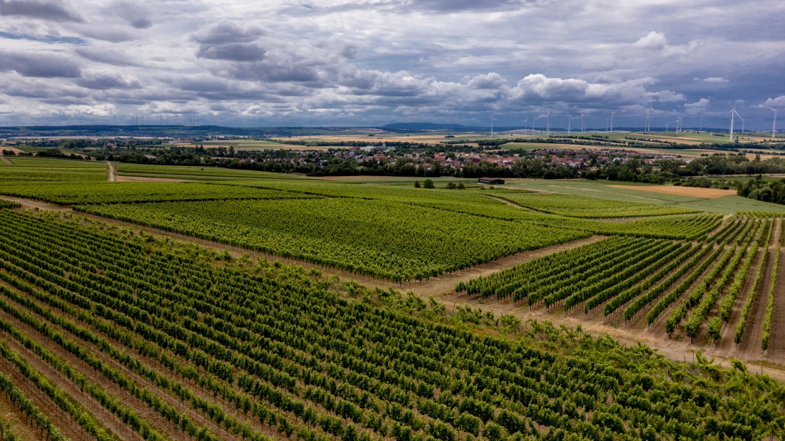 Gau-Weinheimer Geyersberg