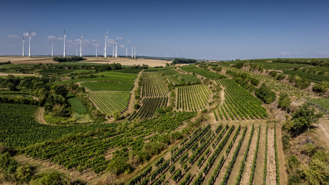 Alsheimer R&ouml;merberg, &copy; Torsten Silz
