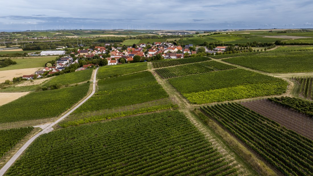 Bermersheimer Hildegardisberg