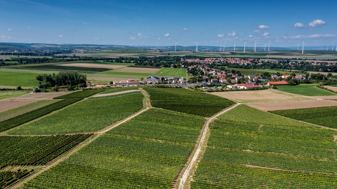 Armsheimer Goldst&uuml;ckchen