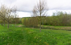 Rastplatz Appenheim-Blick &copy; Katja Zentel